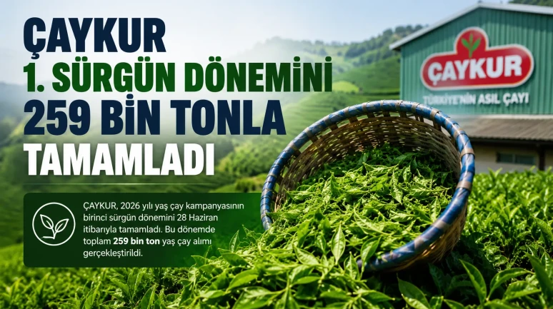 ÇAYKUR Birinci Sürgün Yaş Çay Alımlarını 259 Bin Tonla Tamamladı