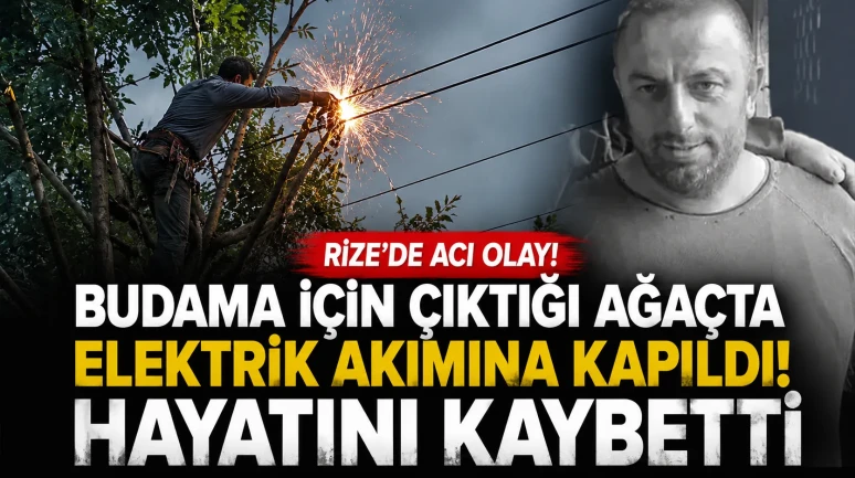 Rize'de Budama İçin Çıktığı Ağaçta Elektrik Akımına Kapılan Adam Hayatını Kaybetti