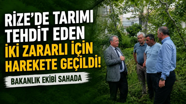 Rize’de Tarımı Tehdit Eden İki Zararlı İçin Harekete Geçildi: Bakanlık Ekibi Sahada