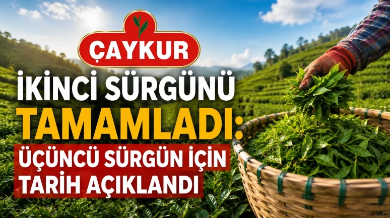 ÇAYKUR İkinci Sürgünü Tamamladı: Üçüncü Sürgün İçin Tarih Açıklandı