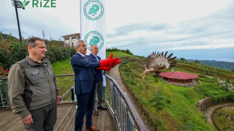 Rize'de Arı Şahinleri Göç İçin Yola Çıktı, Biri İzleme Cihazıyla Donatıldı!