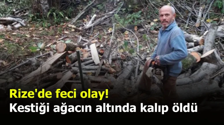 Rize'de ağaç keserken hayatını kaybeden 61 yaşındaki adamın cesedi Adli Tıp'a gönderildi.