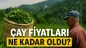 Çay Fiyatları Yükseliyor mu? Üretici Beklemede