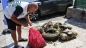 Bodrum Kıyılarında Denizin Derinliklerinden 75 Kilogram Atık Çıkarıldı!