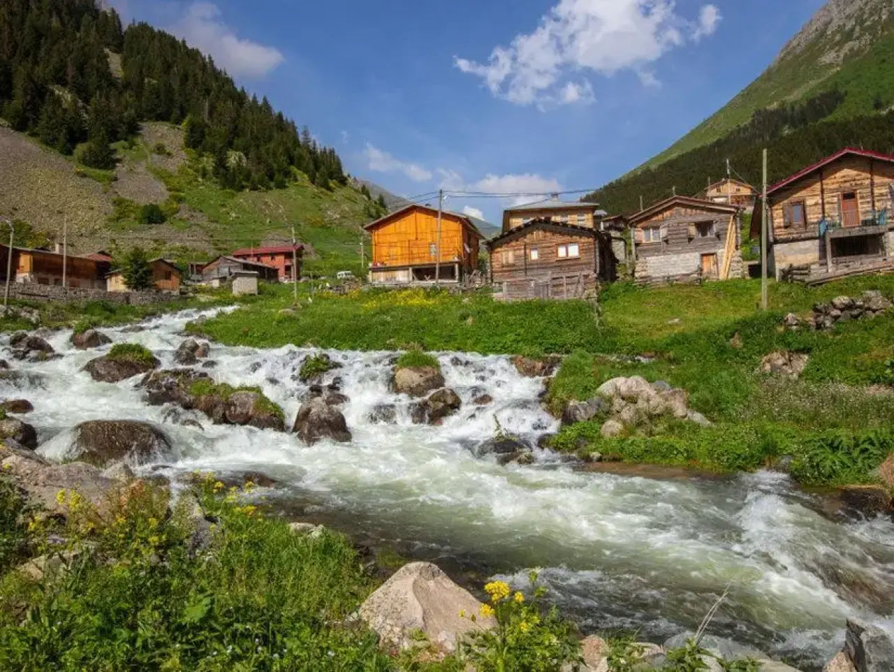 Türkiye'nin Karadeniz bölgesindeki Rize'nin Elevit yaylalarından güzel bir manzara.