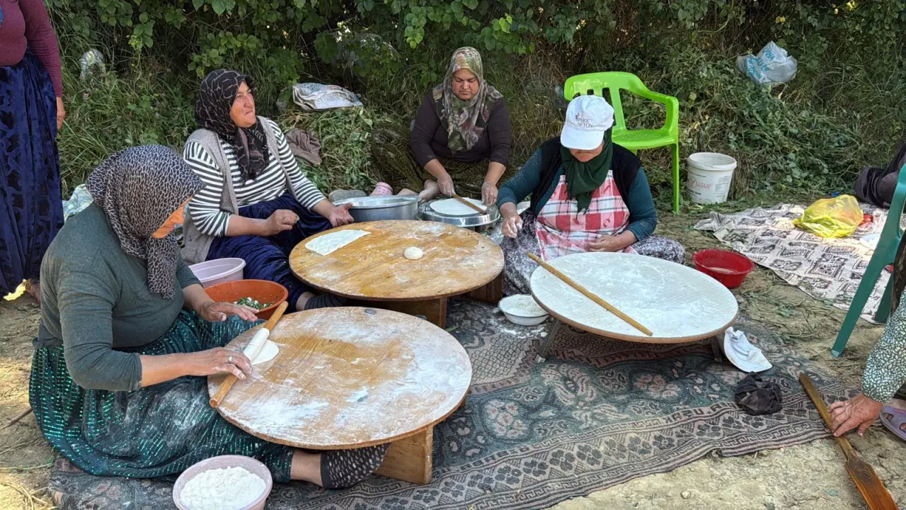 Bezelye hasadında katmerli mola 5 Bezelye hasadında katmerli mola