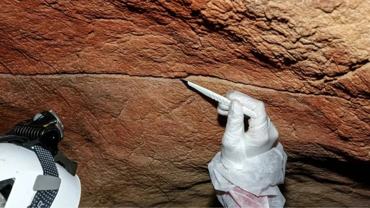 Mağara Duvarları Antik DNA İnsan