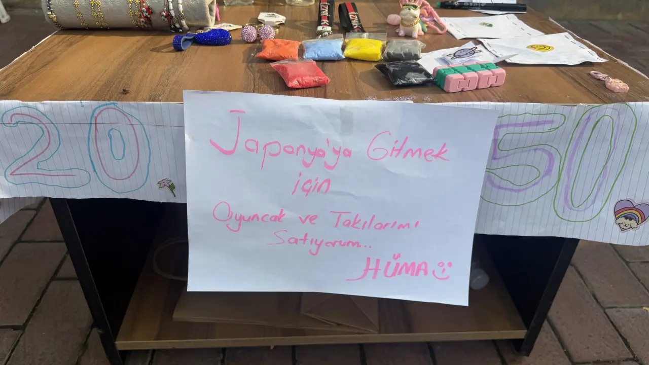 Her şey Japonya'ya gitmek için