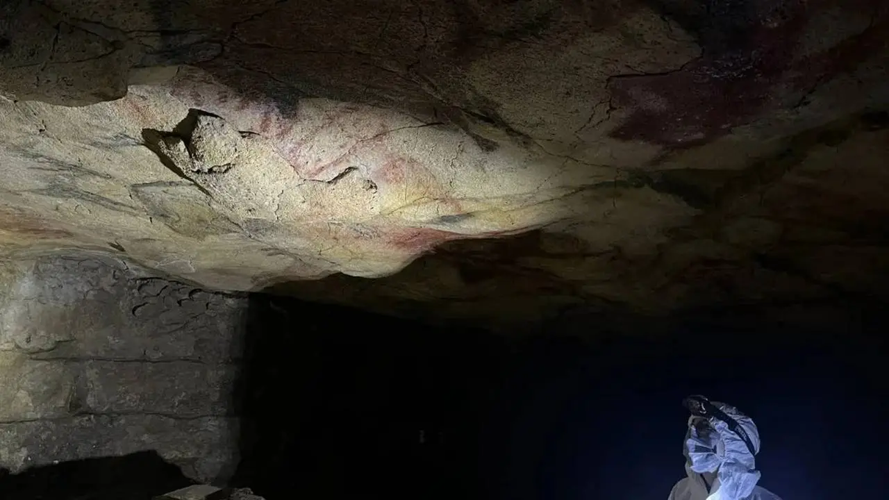 Mağara Duvarları DNA
