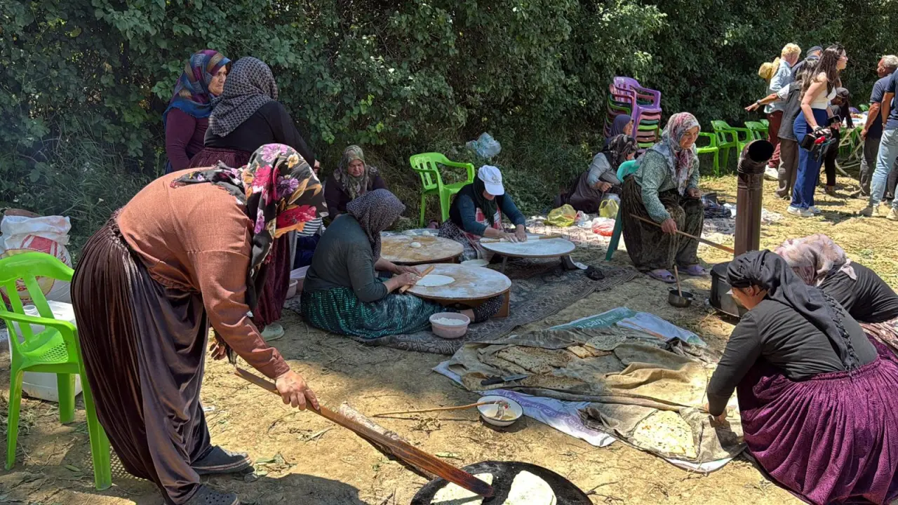 Bezelye hasadında katmerli mola 16 Bezelye hasadında katmerli mola