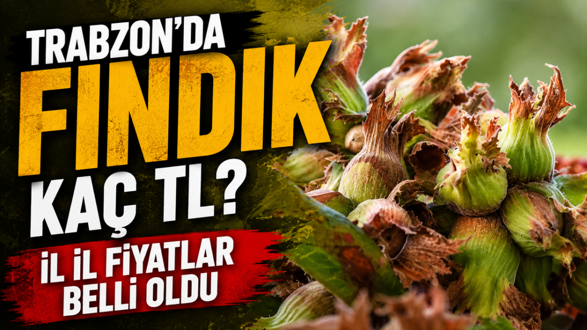 Üretici, Fındık Fiyatları İle Kazancını Yeniden Gözden Geçirsin!