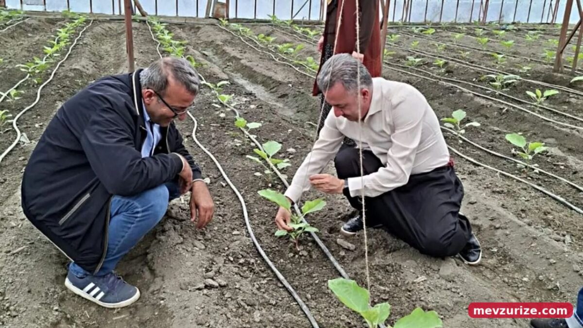 Alanya Müdüründen şalvarlı sera mesaisi: Devrimi başlattı