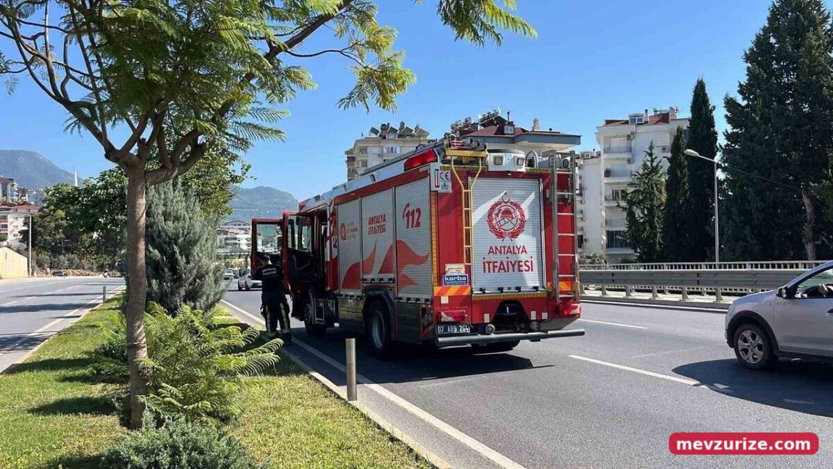 Alanya'da refüjdeki direğe çarpan otomobil: sürücü kaçtı, yolcu yaralandı