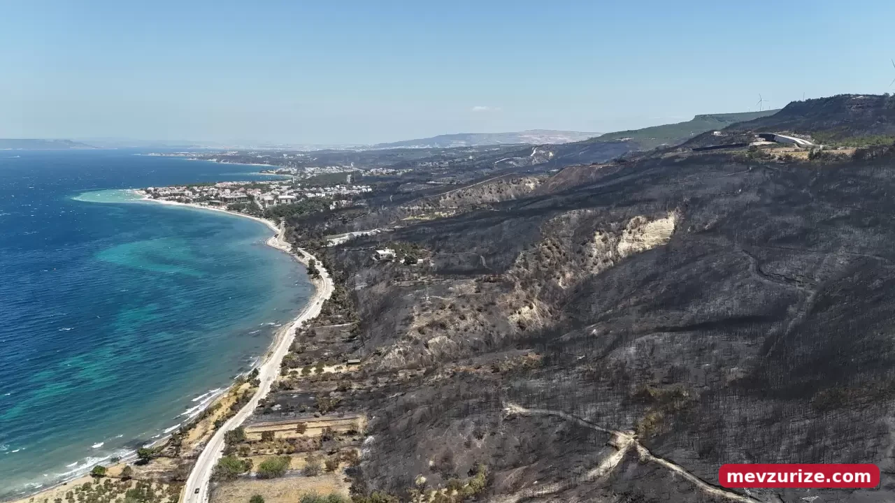 Çanakkale'deki dev orman yangını sonrası yeşeren alanlar havadan görüntülendi 5