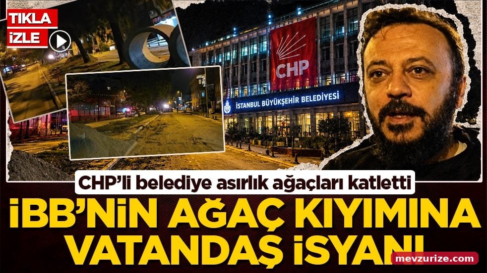 CHP’li belediye asırlık ağaçları katletti: İBB’nin ağaç kıyımına vatandaş isyanı!