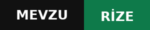 Mevzurize