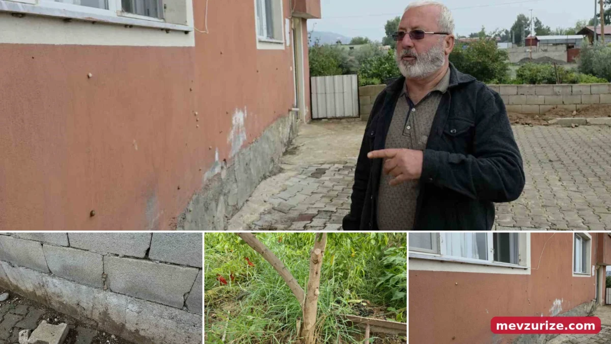 Deprem sonrası ortaya çıktı: Mahalleyi ele geçirdiler