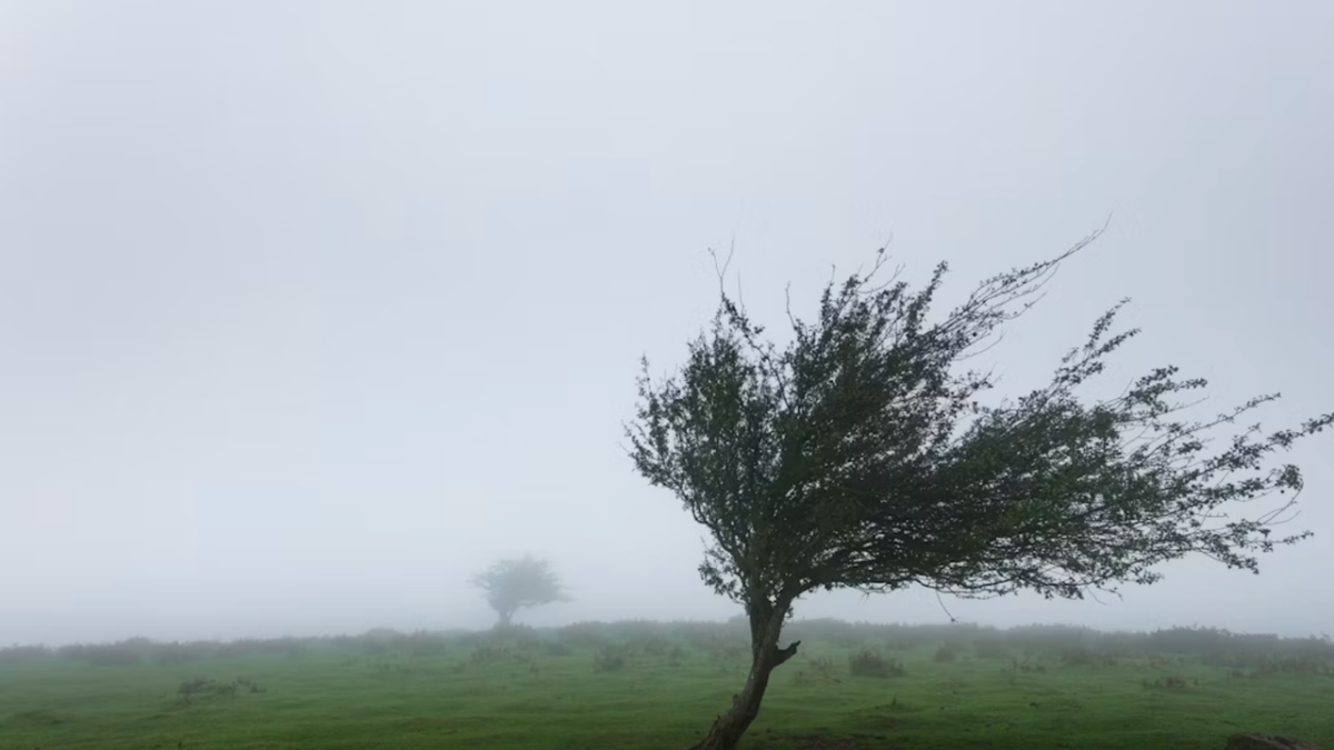 Meteoroloji'den kuvvetli yağış ve rüzgar uyarısı