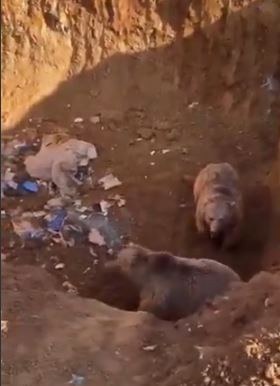 Erzurum’da en az 5 metrelik kuyuya bakan vatandaşlar içindekileri görünce hayrete düştü - Resim : 1