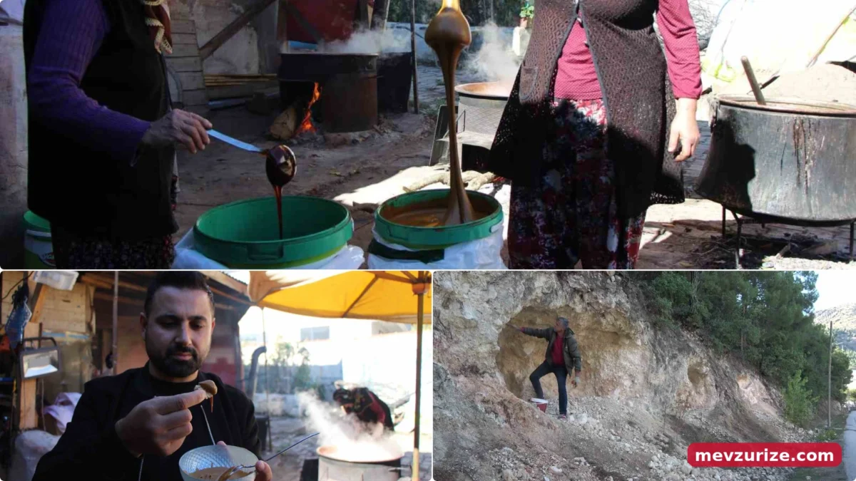 Ferhat'ın memleketinde bu kez 'pekmez' aşkına dağları deldiler! Amasya'da asırlık lezzet mesaisi