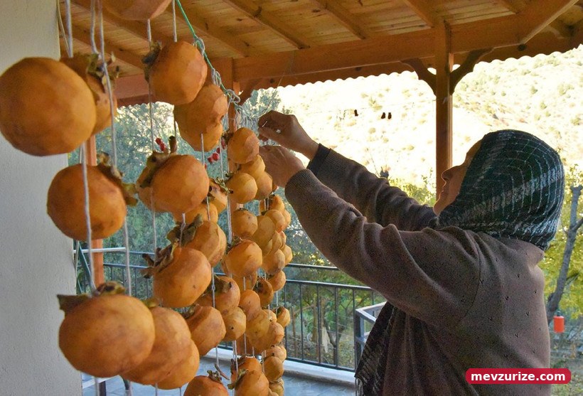 Herkesin hayalini onlar gerçekleştirdi. İnşa ettikleri yeri görenler Avrupa'da sanıyor - Resim : 3