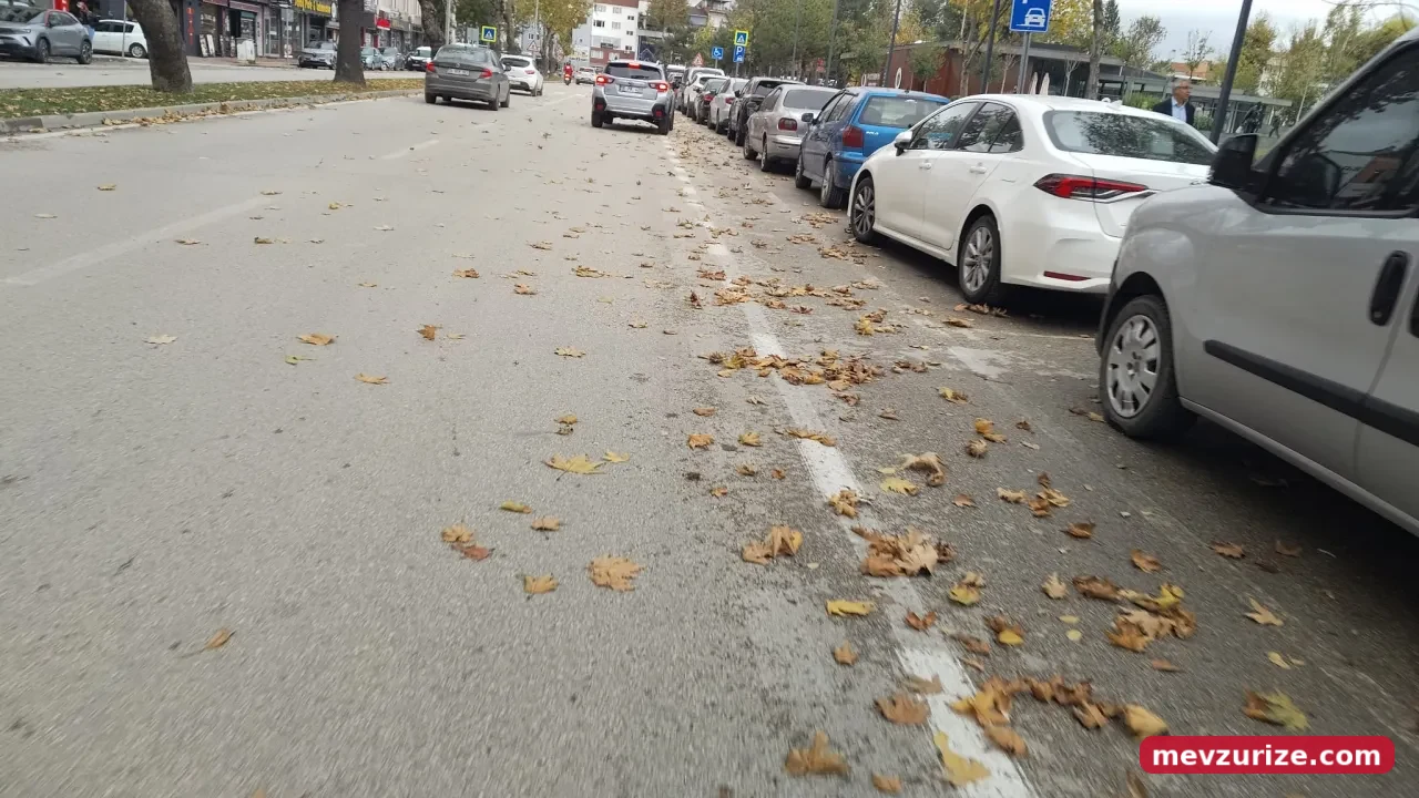 İnegöl'de Sonbaharın Renkleri Ortaya Çıktı! Yollar Sarı Ve Kahverengiye Büründü (6)