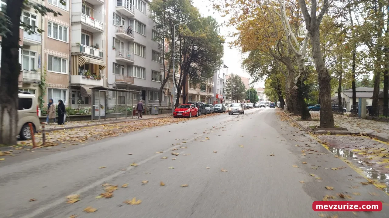 İnegöl'de Sonbaharın Renkleri Ortaya Çıktı! Yollar Sarı Ve Kahverengiye Büründü (5)
