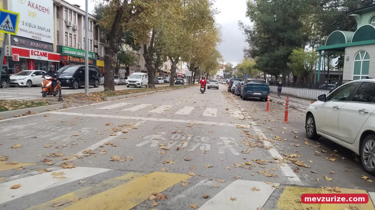 İnegöl'de Sonbaharın Renkleri Ortaya Çıktı! Yollar Sarı Ve Kahverengiye Büründü (4)