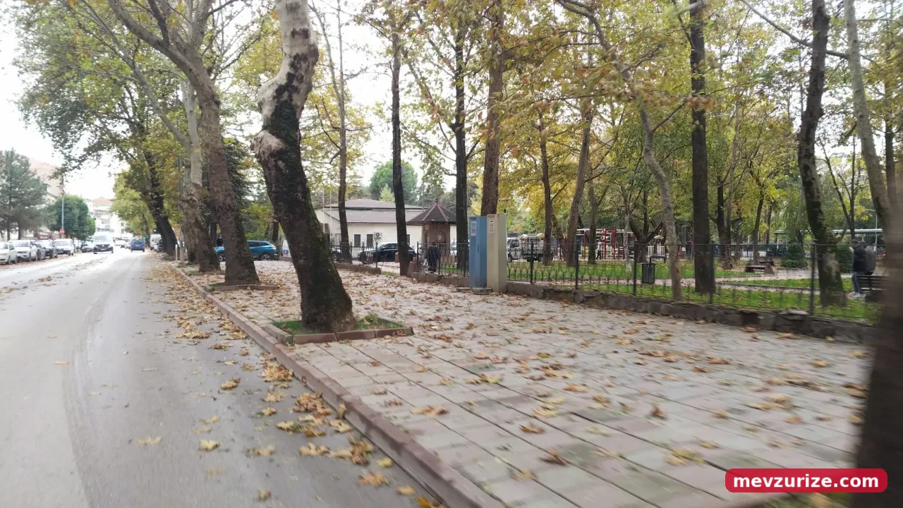 İnegöl'de Sonbaharın Renkleri Ortaya Çıktı! Yollar Sarı Ve Kahverengiye Büründü (2)