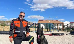 Enkazda can kurtaran köpekler de tehlike altında! Eğitmeni anlattı