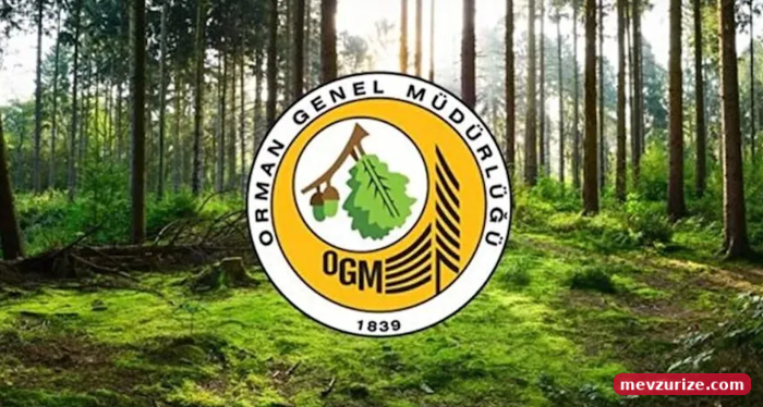 Orman Genel Müdürlüğü personel alımı yapacak! Başvuru tarihleri belli oldu