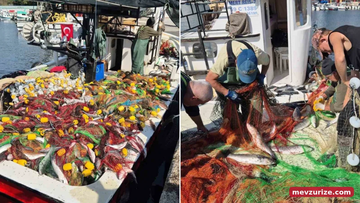 Tekirdağ'da ağlar zor çekildi: Balıkçılar 1,5 ton kefalle limana döndü
