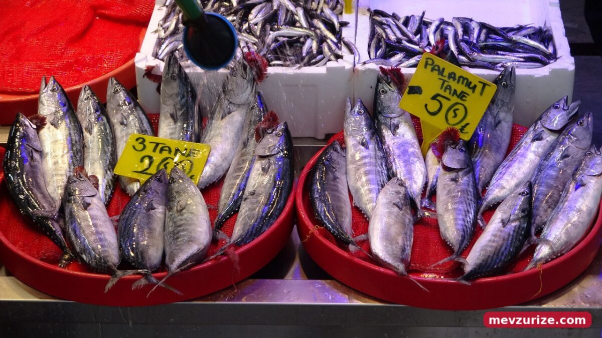 Trabzon'da 12 bin kilogram palamut avlandı