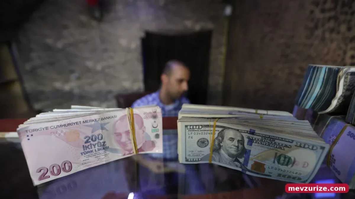 Yurt İçi Yerleşiklerin Finansal Açığı Genişledi